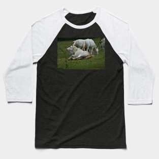 Wild Horse Baseball T-Shirt